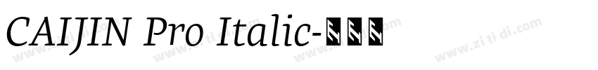 CAIJIN Pro Italic字体转换 CAIJIN Pro Italic字体转换